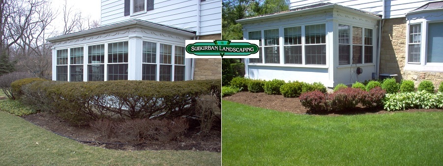 Before And After Residential Planting