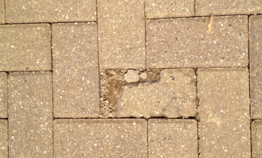 Brick Patio_repair